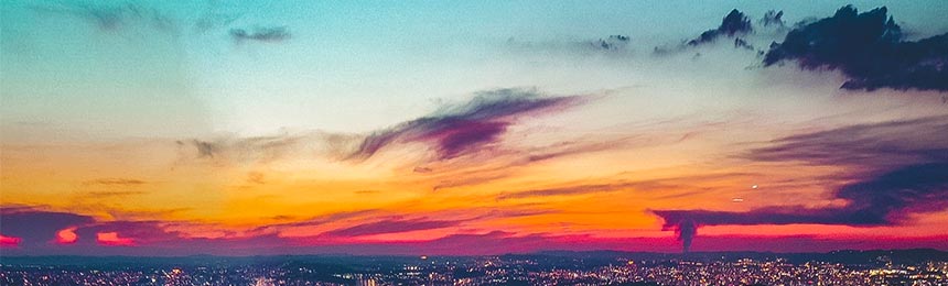 大悟茶虫网_大悟品茶